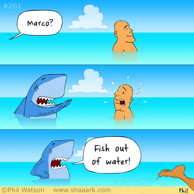 shark cartoon marco polo