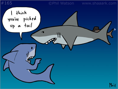 Shark picks up a tail