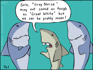 Shark cartoon mean grey nurse